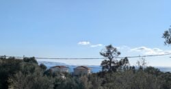 Land for sale in Svoronata Kefalonia
