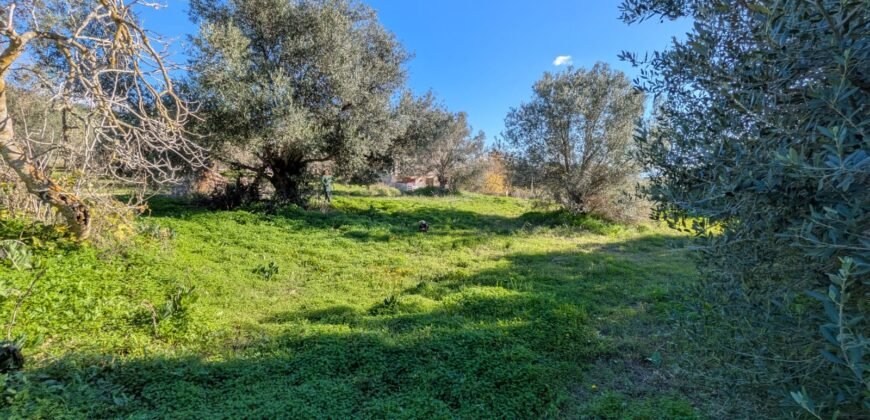 Land for sale in Svoronata Kefalonia