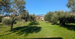 Land for sale in Klismata Kefalonia