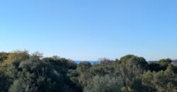 Land for sale in Klismata Kefalonia