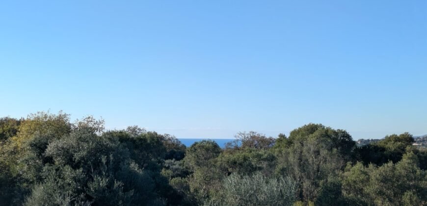 Land for sale in Klismata Kefalonia
