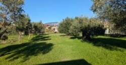 Land for sale in Klismata Kefalonia