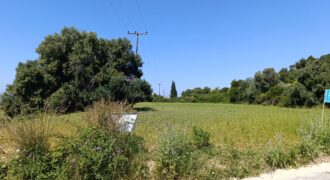 Investment Plot available for rental. Investment Plot available for rental.